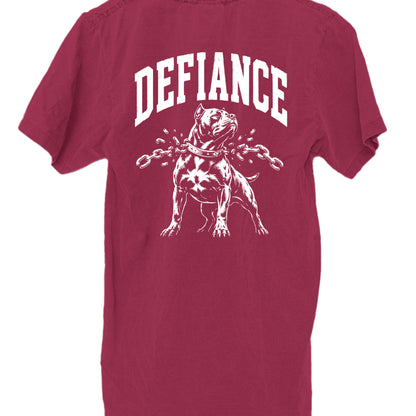 Burgundy - SHMHSS - BACK